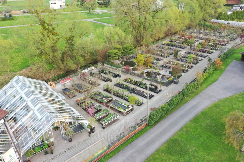 Galerie – Gartenwelt Gassner