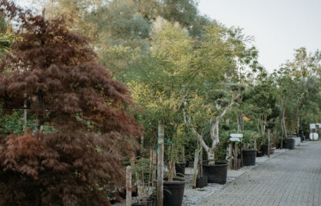 Gartenwelt Gassner